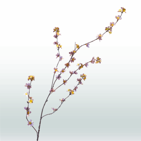 Blossom Spray Tak Donker 108cm - Paars (licht)