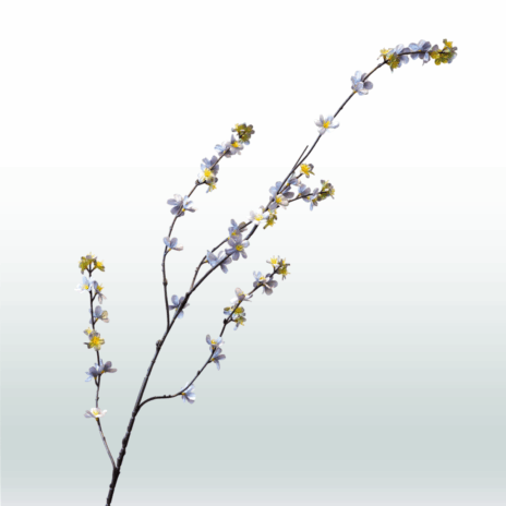 Blossom Spray Tak Donker 108cm - Blauw (licht)