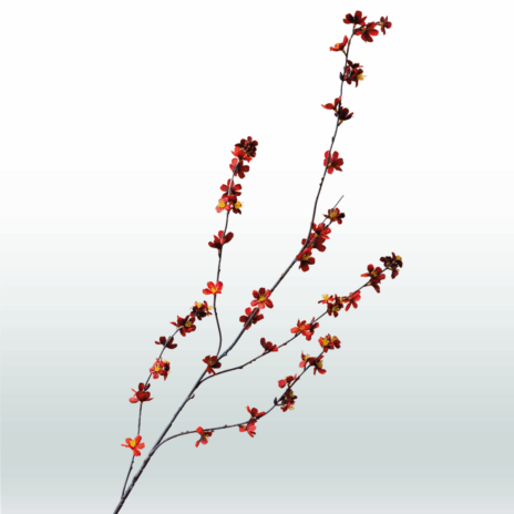 Blossom Spray Tak Donker 108cm - Rood