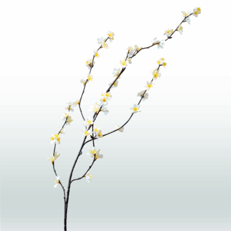 Blossom Spray Tak Donker 108cm - Wit