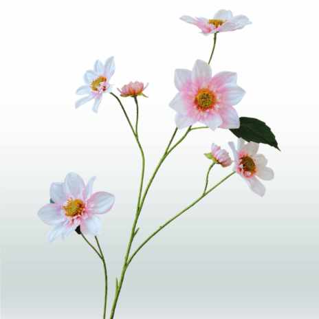 Dahlia 4tak - 108cm - Roze (licht)