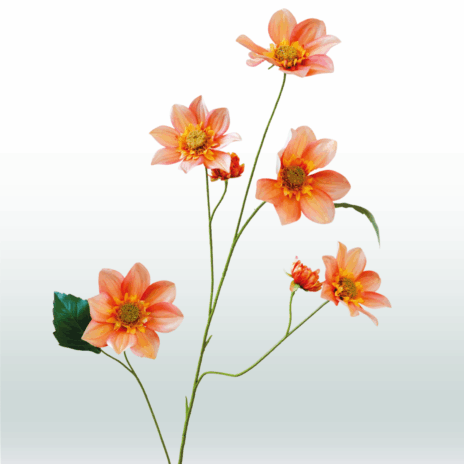 Dahlia 4tak - 108cm - Oranje