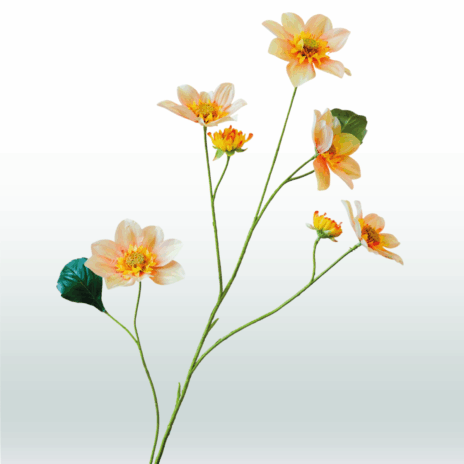 Dahlia 4tak - 108cm - Champagne