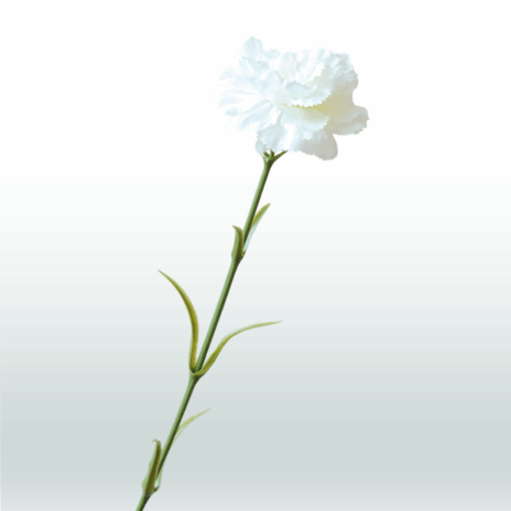 Anjer tak 65cm - Wit