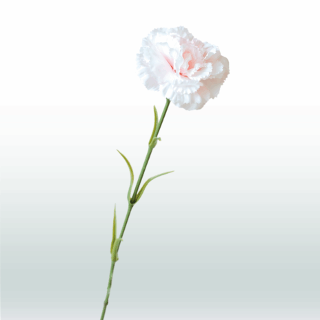 Anjer tak 65cm - Roze (licht)