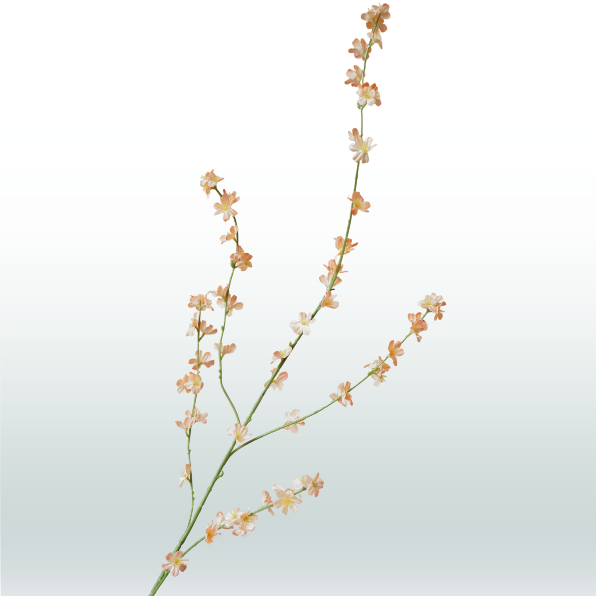 bloesem tak fijn oranje 108cm