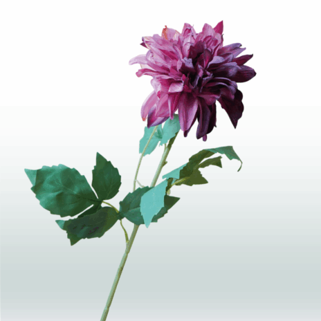 Dahlia steel 63cm - Paars