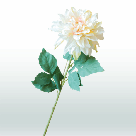 Dahlia steel 63cm - Wit