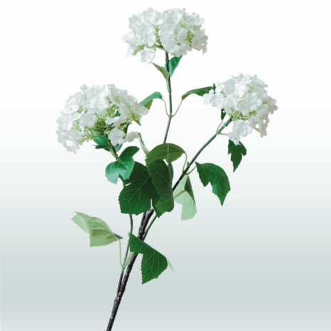 Hortensia 3-tak 68cm - Wit