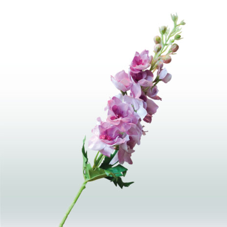 Ridderspoor 80cm - Roze (donker)