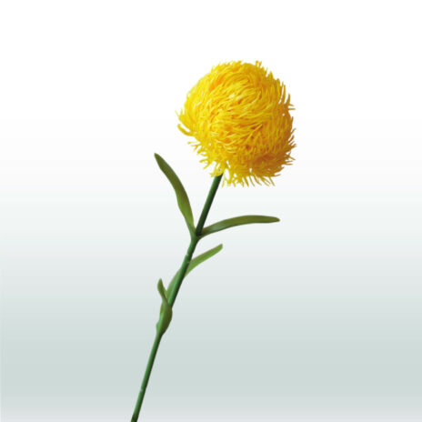 Dianthus 59cm - Geel