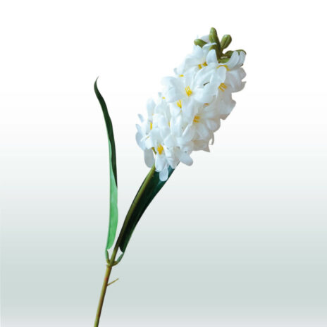 Hyacint 70cm - Wit