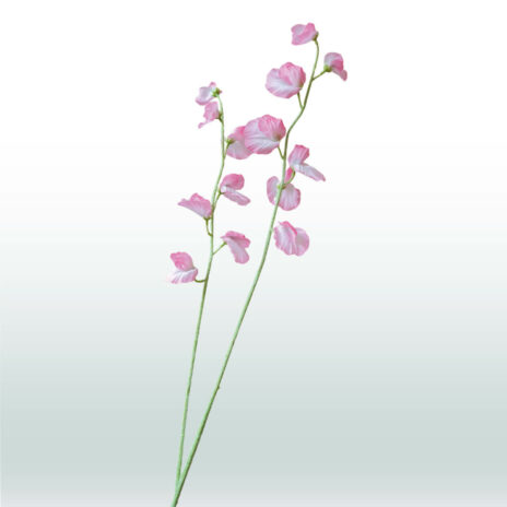 Siererwt 90cm - Roze