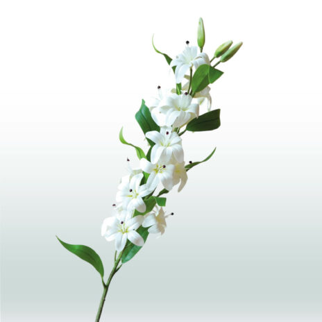 Oriental Lily 79cm - Wit