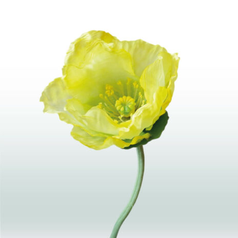 Klaproos Steel 68cm - Geel