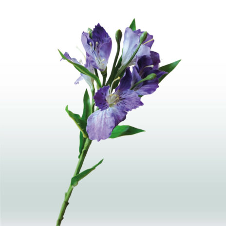 Alstroemeria 62cm - Paars