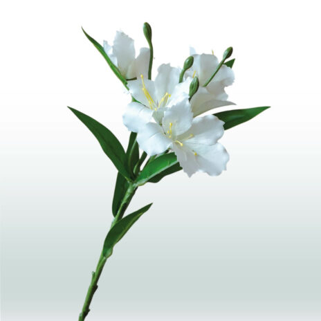 Alstroemeria 62cm - Wit