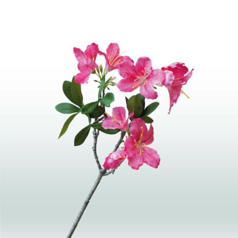 Azalea 66cm - Roze