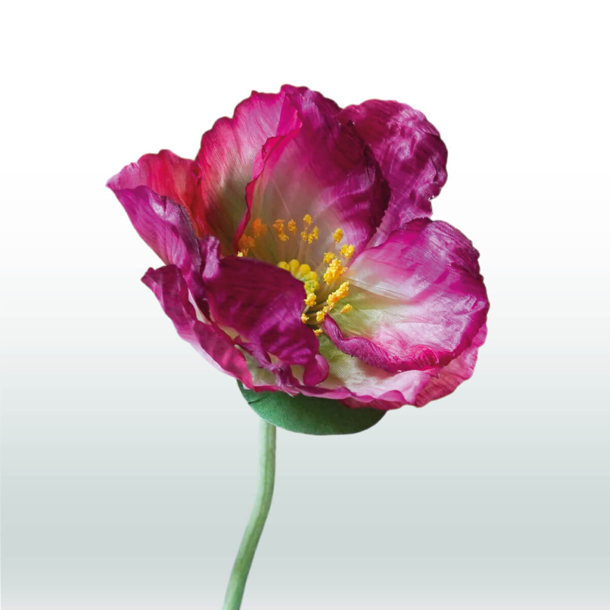 Klaproos steel Papaver 67cm paars zijdebloem