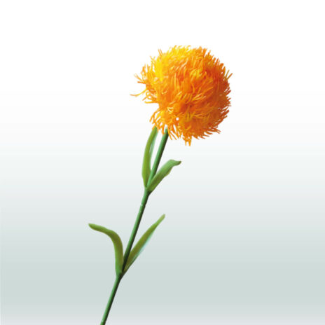 Dianthus 59cm - Geel (donker)